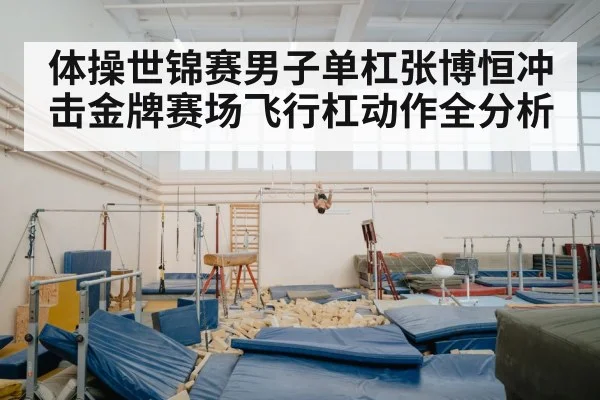 体操世锦赛男子单杠张博恒冲击金牌赛场飞行杠动作全分析